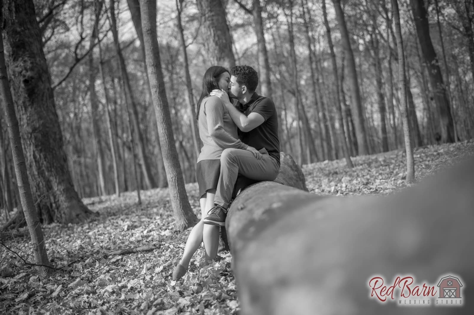 Angelica and Kyle - River Trail, Northbrook IL — photo 18