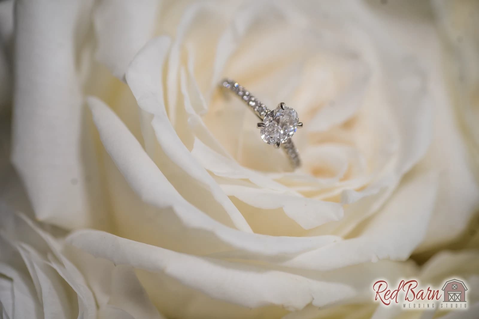 Kaitlin and Thomas - Venuti’s Banquet Hall, Addison IL — photo 8