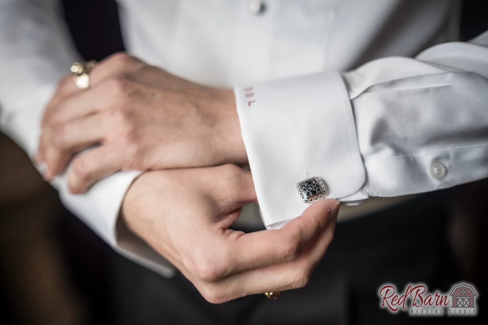Emma and Dylan - Deer Path Inn, Lake Forest, IL  — photo 2