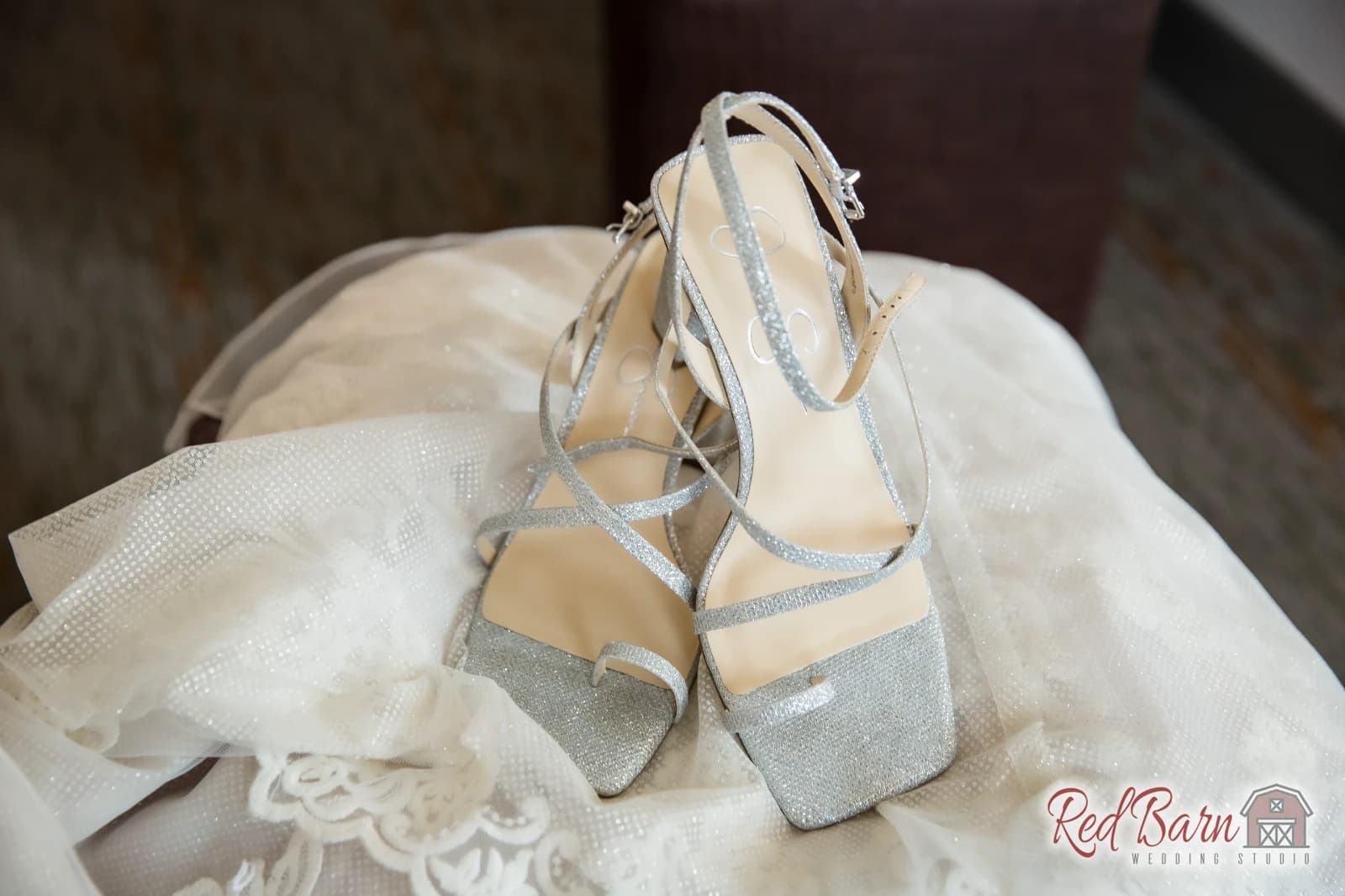 Erin and Patrick - Itasca Country Club, Itasca IL — photo 1