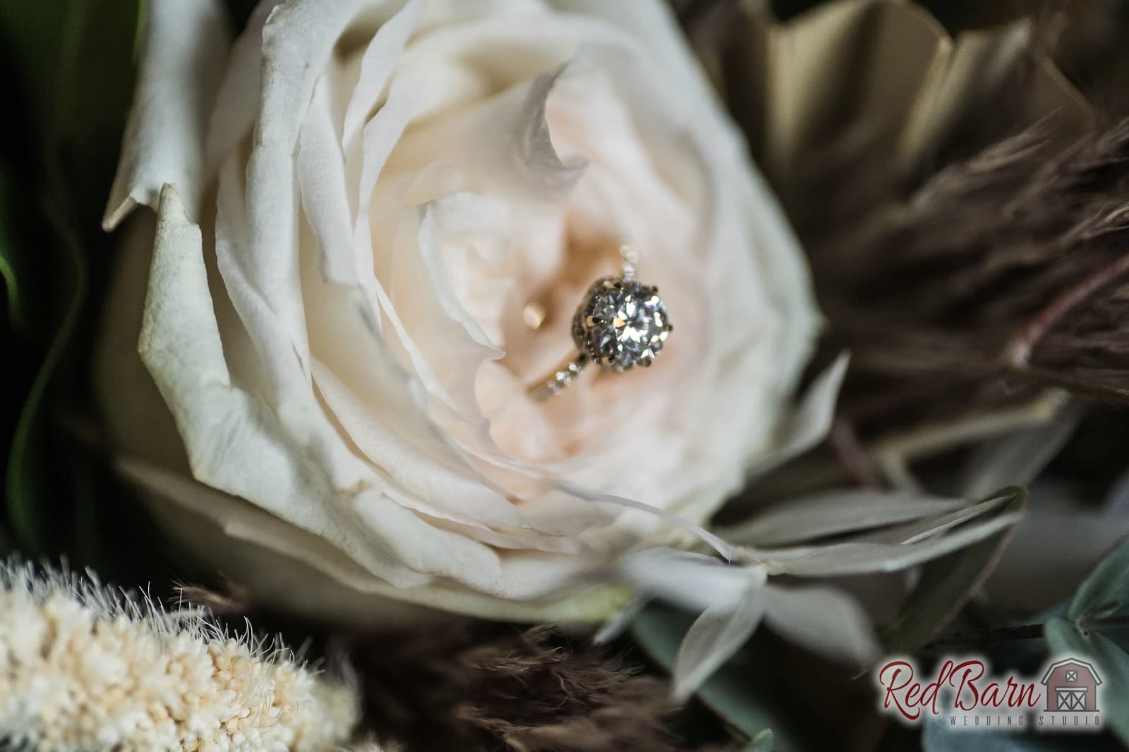  Jaclyn and Matthew - in The Grove Redfield Estate, Glenview IL — photo 4