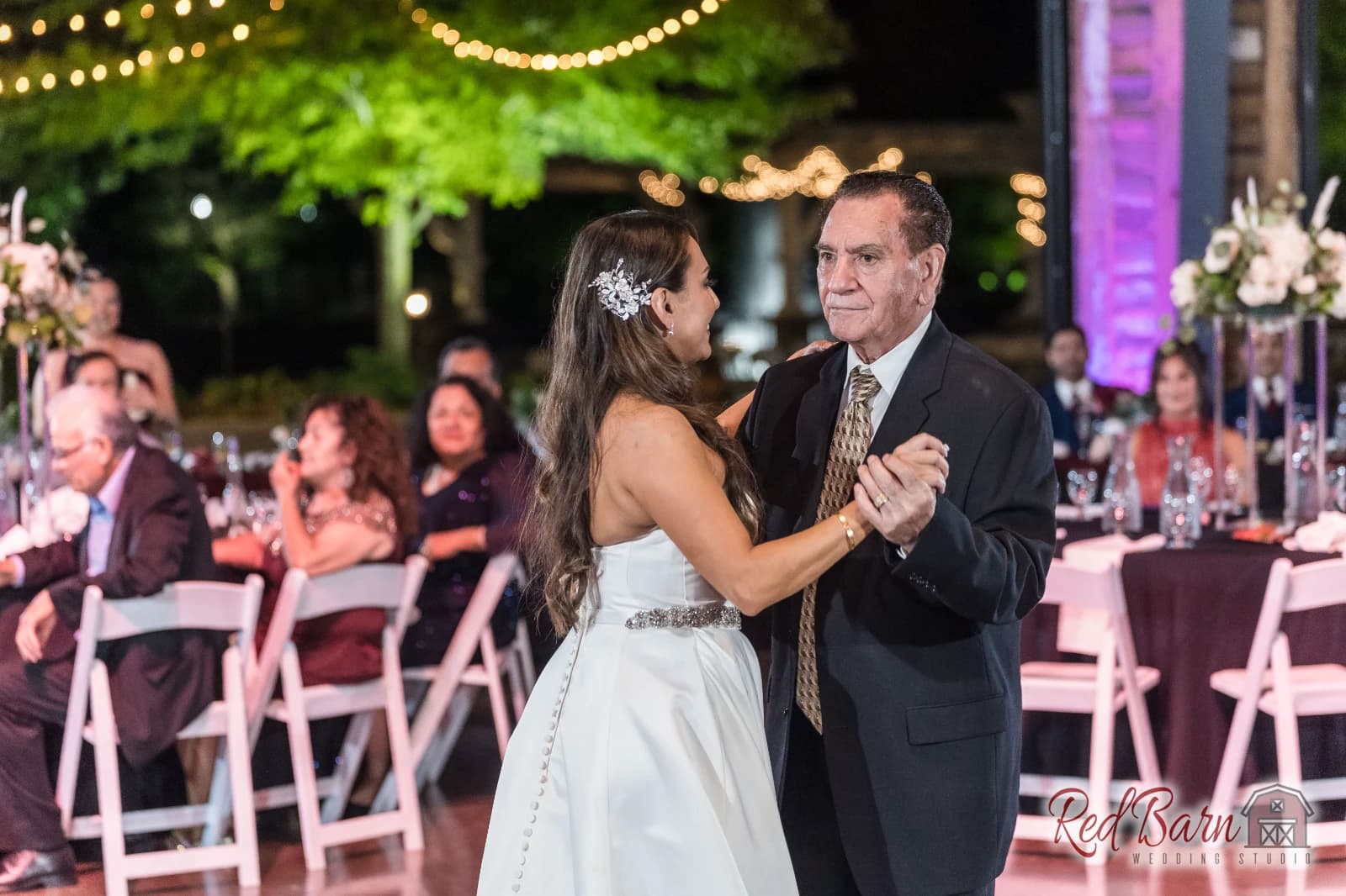 Nancy and Ricardo - CD & ME, Frankfort IL — photo 117