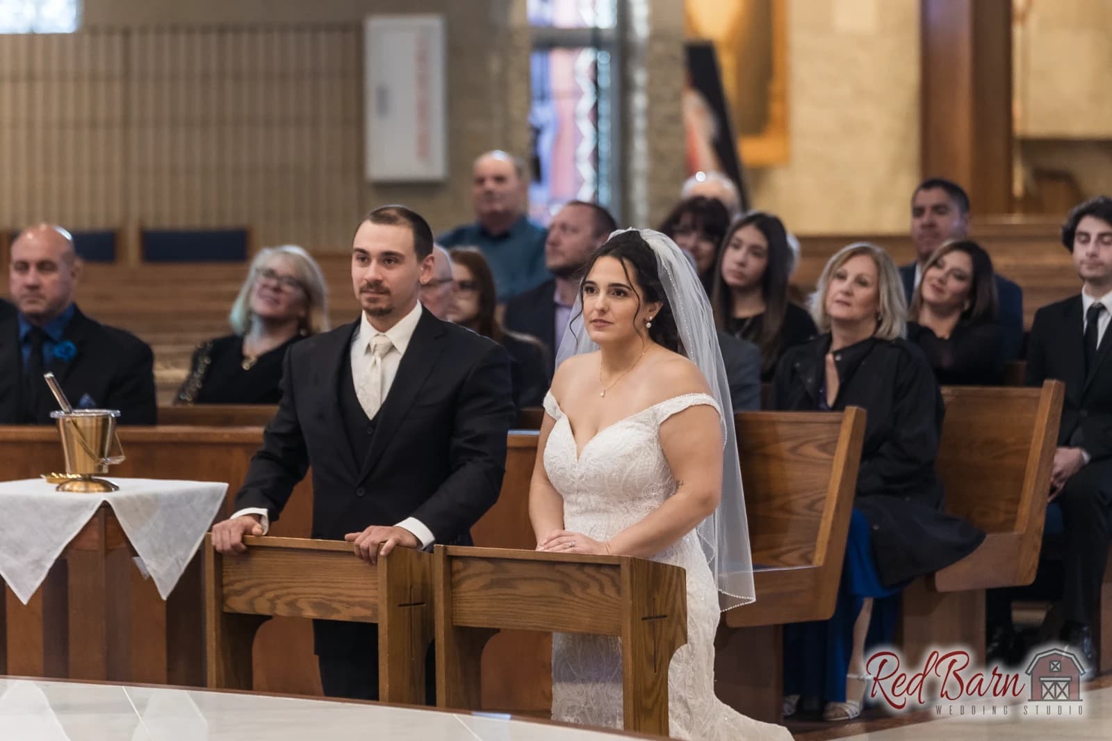 Denise and CJ - Riverside Receptions and Conference Center, Geneva IL — photo 39