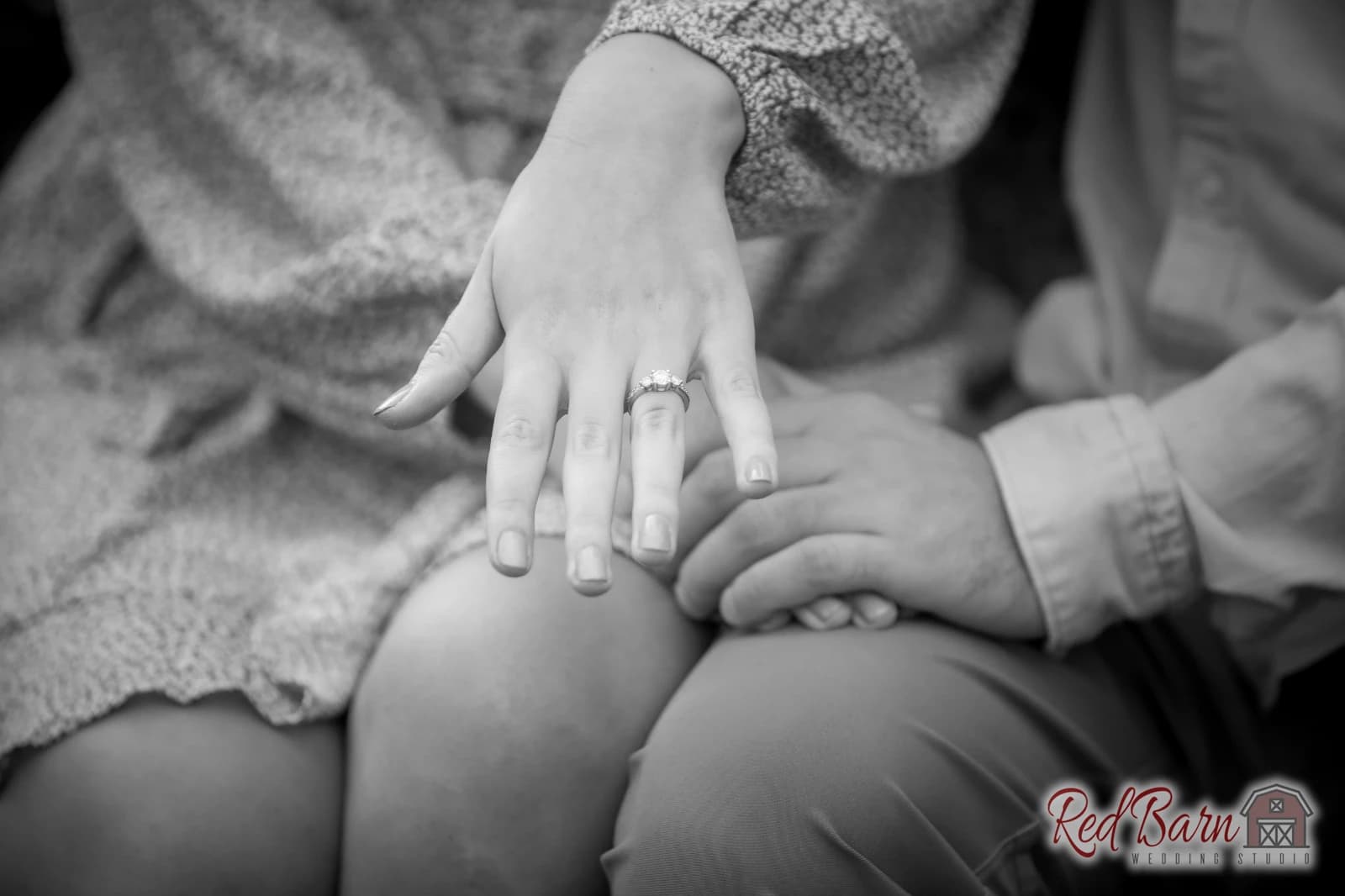 Alexis and James - Gillson Park, Wilmette - IL — photo 12