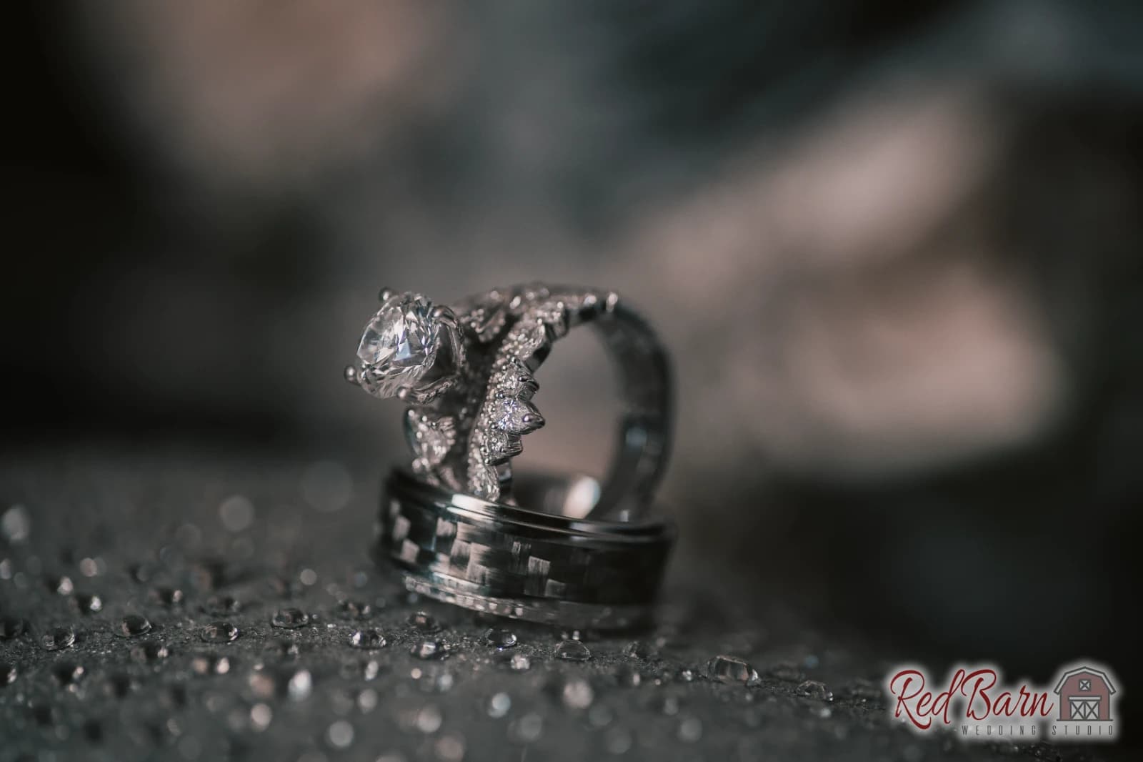 Kasia & Miguel - Signature Barn Banquet Hall, Orland Park IL — photo 3