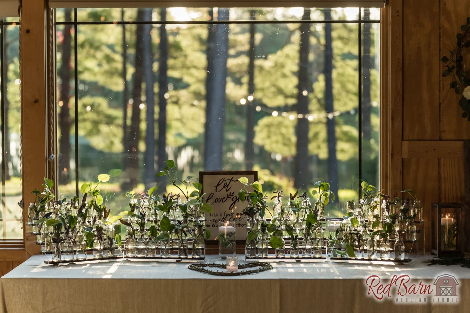 Heather and Brandon - Whispering Woods, Harvard IL — photo 57