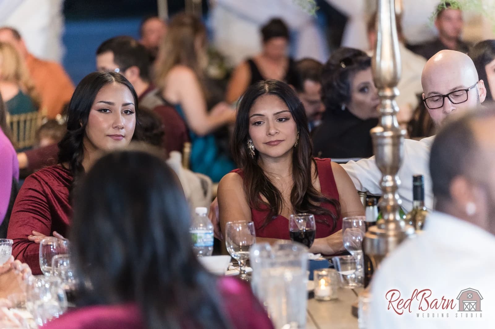 Michelle and David - Rancho Camino Real, Huntley IL — photo 108