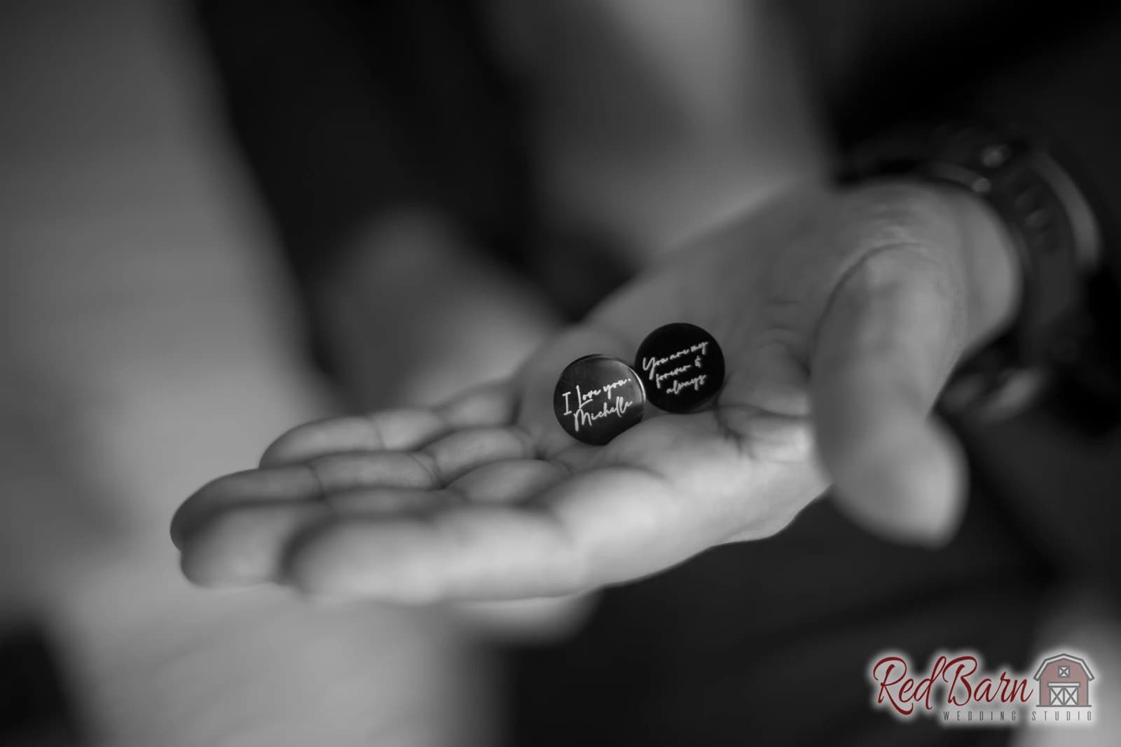Michelle and David - Rancho Camino Real, Huntley IL — photo 16