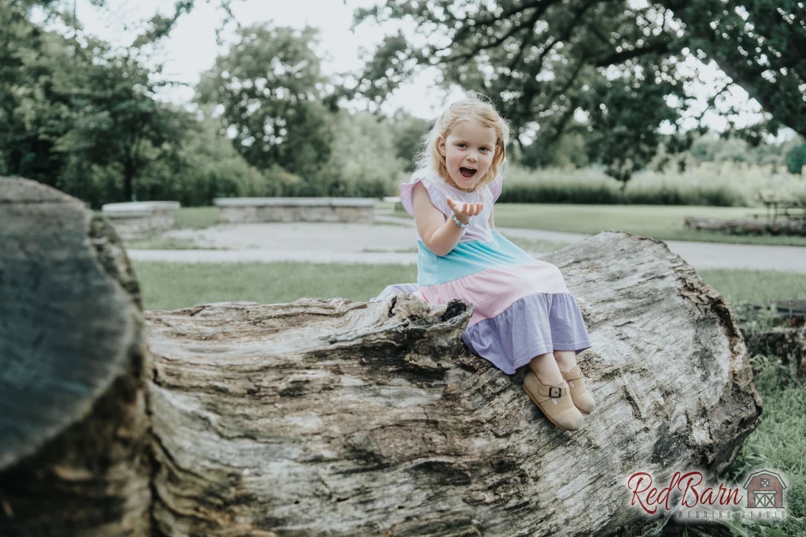 Amy and Nicholas - Knoch Knolls Nature Center, Naperville IL — photo 8