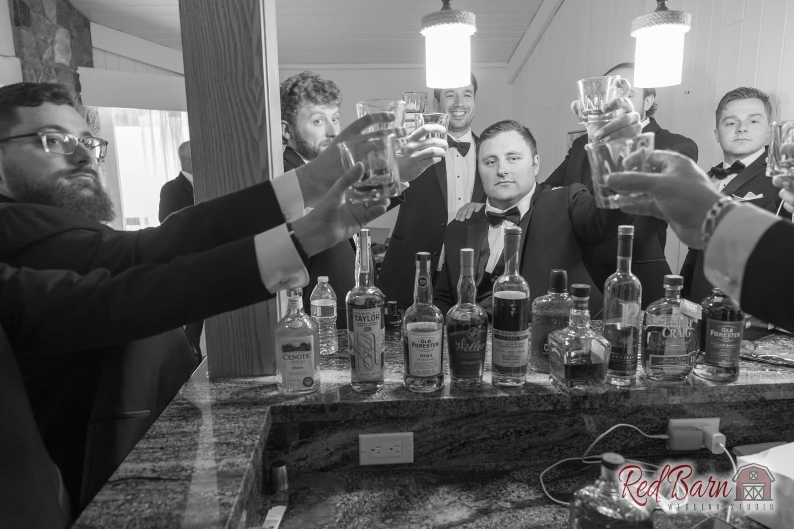 Juliana and Josh - Lake Lawn Resort, Delavan, WI — photo 10