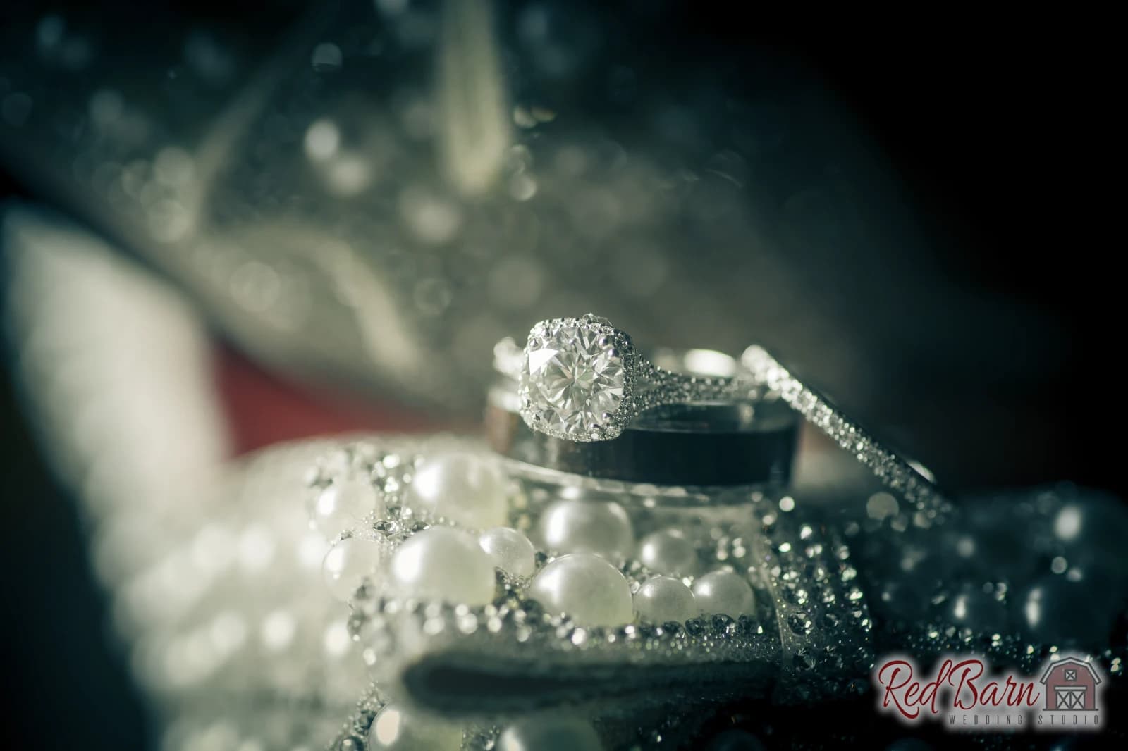 Amy and Nicholas - Fishermen`s Inn, Elburn IL — photo 5