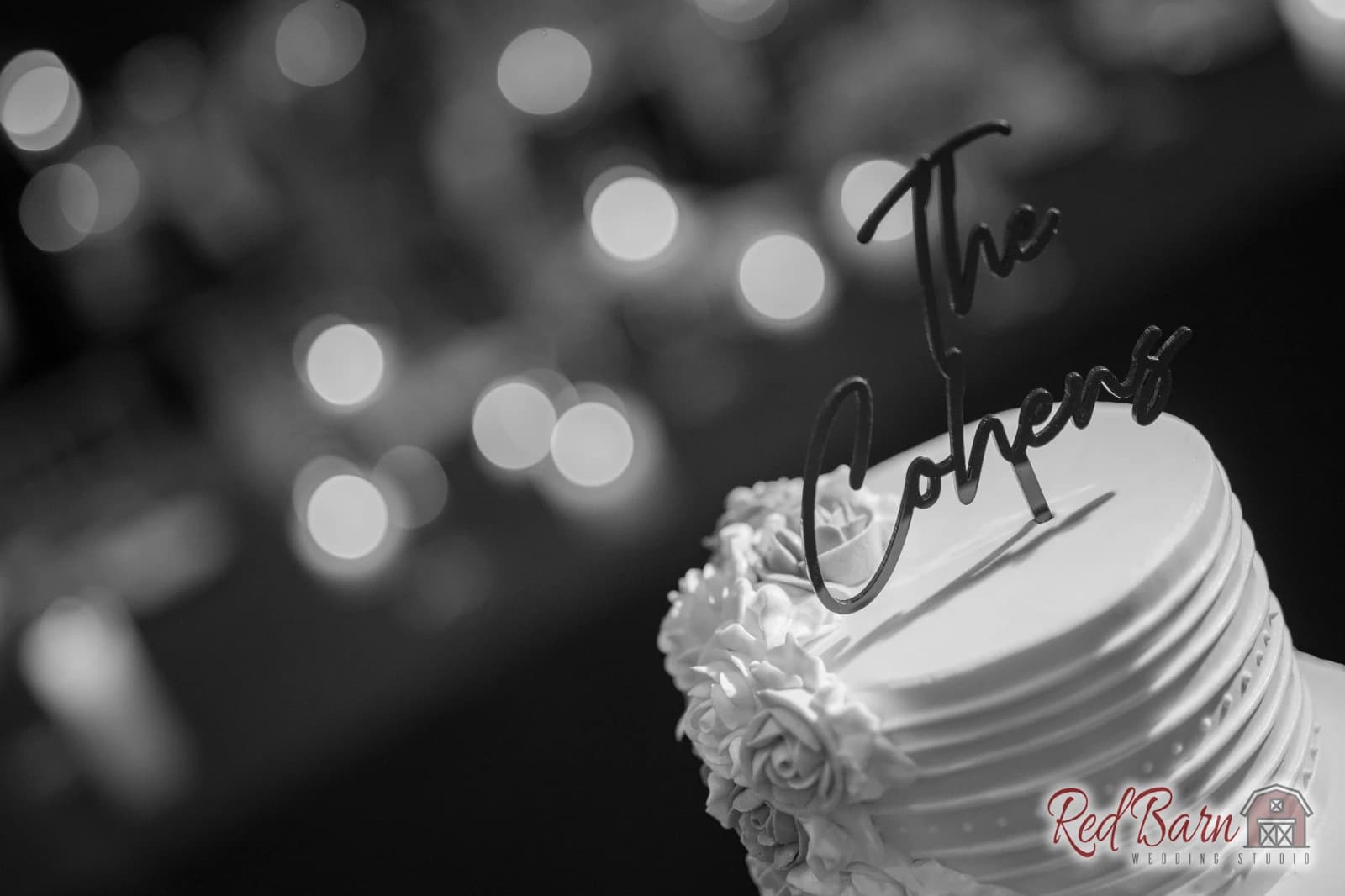 Nicole and Ari - Deerfield Hyatt Regency, Deerfield IL — photo 79