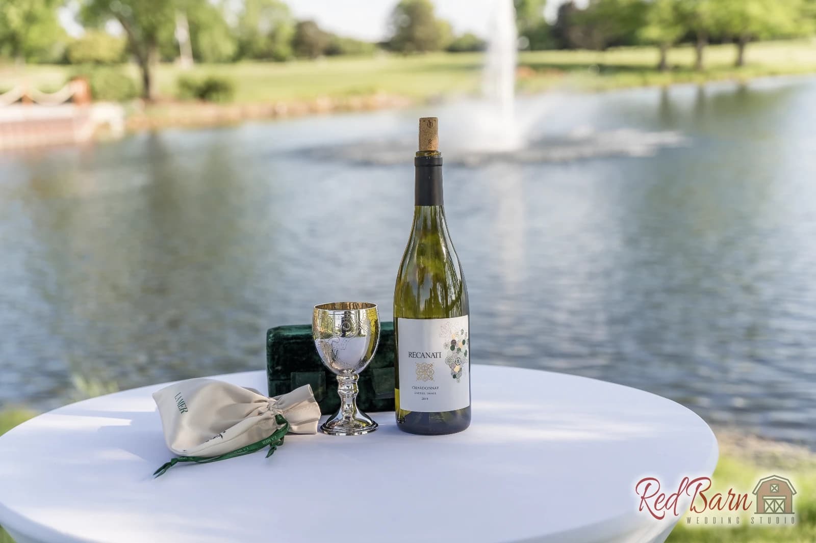 Annie and Harrison - Kemper Lakes Golf Club, Kildeer IL — photo 59