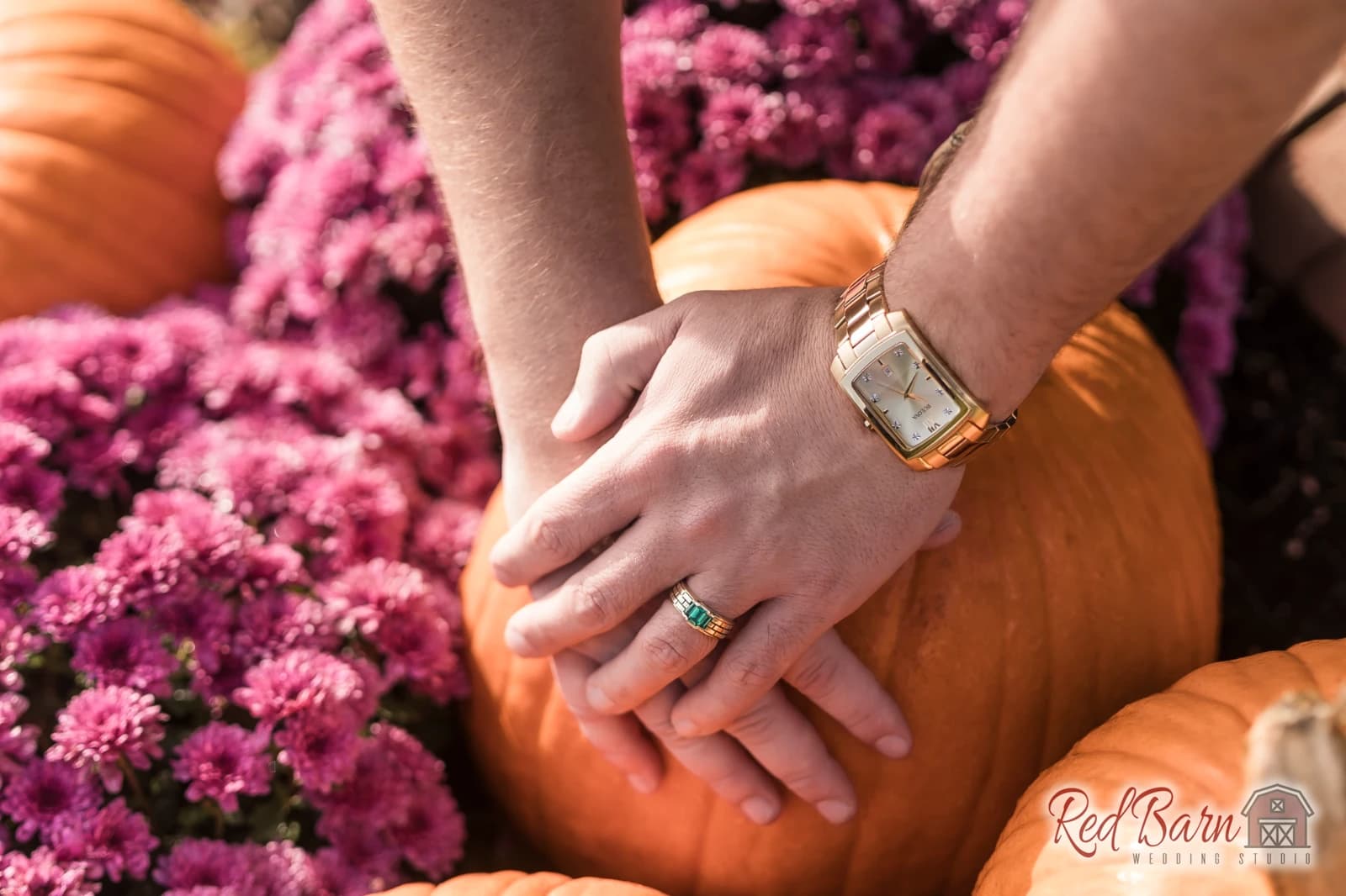 Justin and Jack - CantignyPark, , Wheaton IL — photo 14