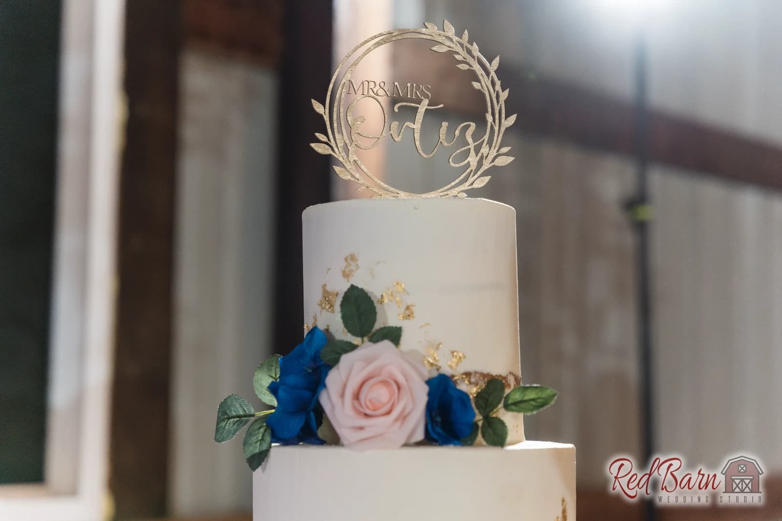 Michelle and David - Rancho Camino Real, Huntley IL — photo 110