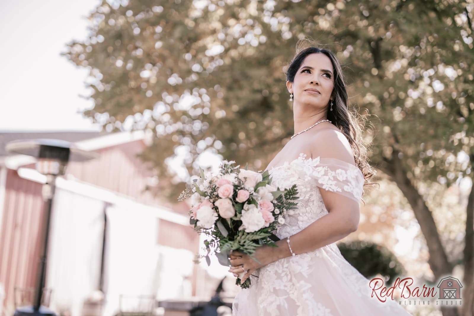 Michelle and David - Rancho Camino Real, Huntley IL — photo 40