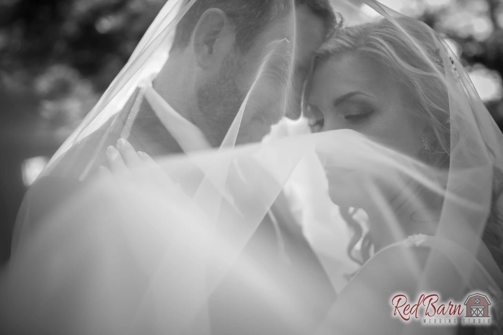 Heather and Brandon - Whispering Woods, Harvard IL — photo 32