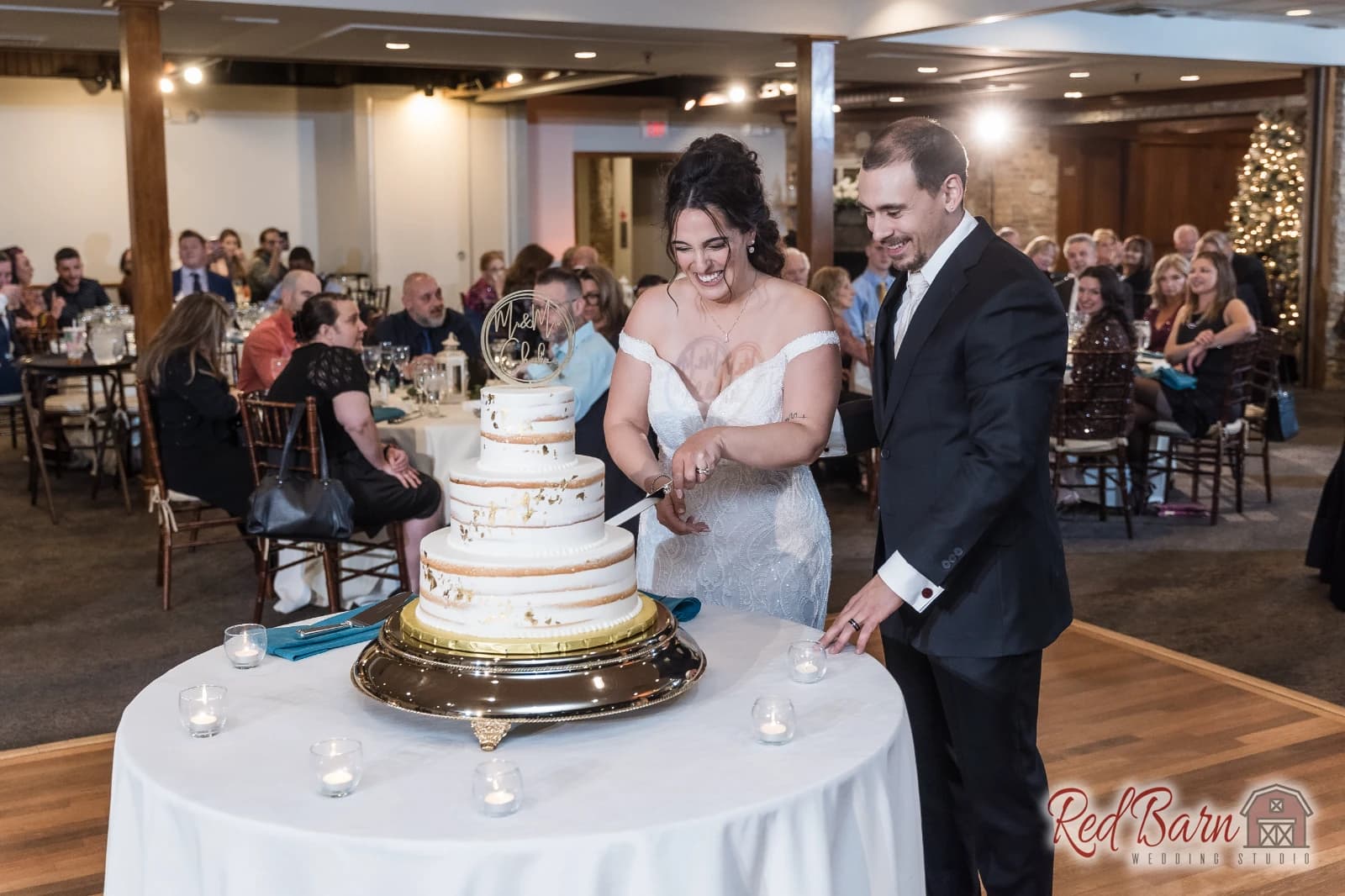 Denise and CJ - Riverside Receptions and Conference Center, Geneva IL — photo 102