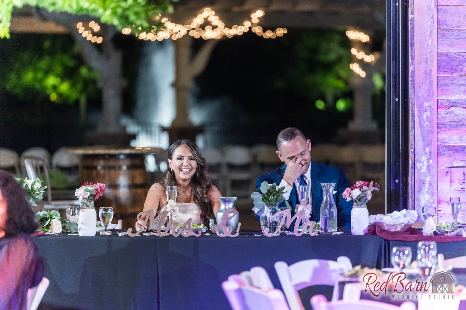 Nancy and Ricardo - CD & ME, Frankfort IL — photo 109