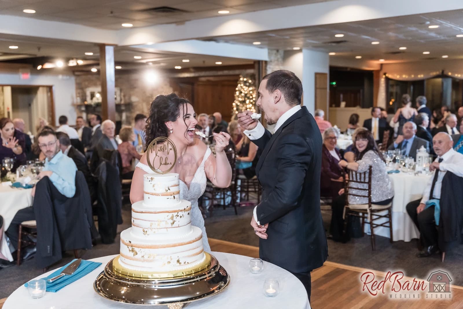 Denise and CJ - Riverside Receptions and Conference Center, Geneva IL — photo 100