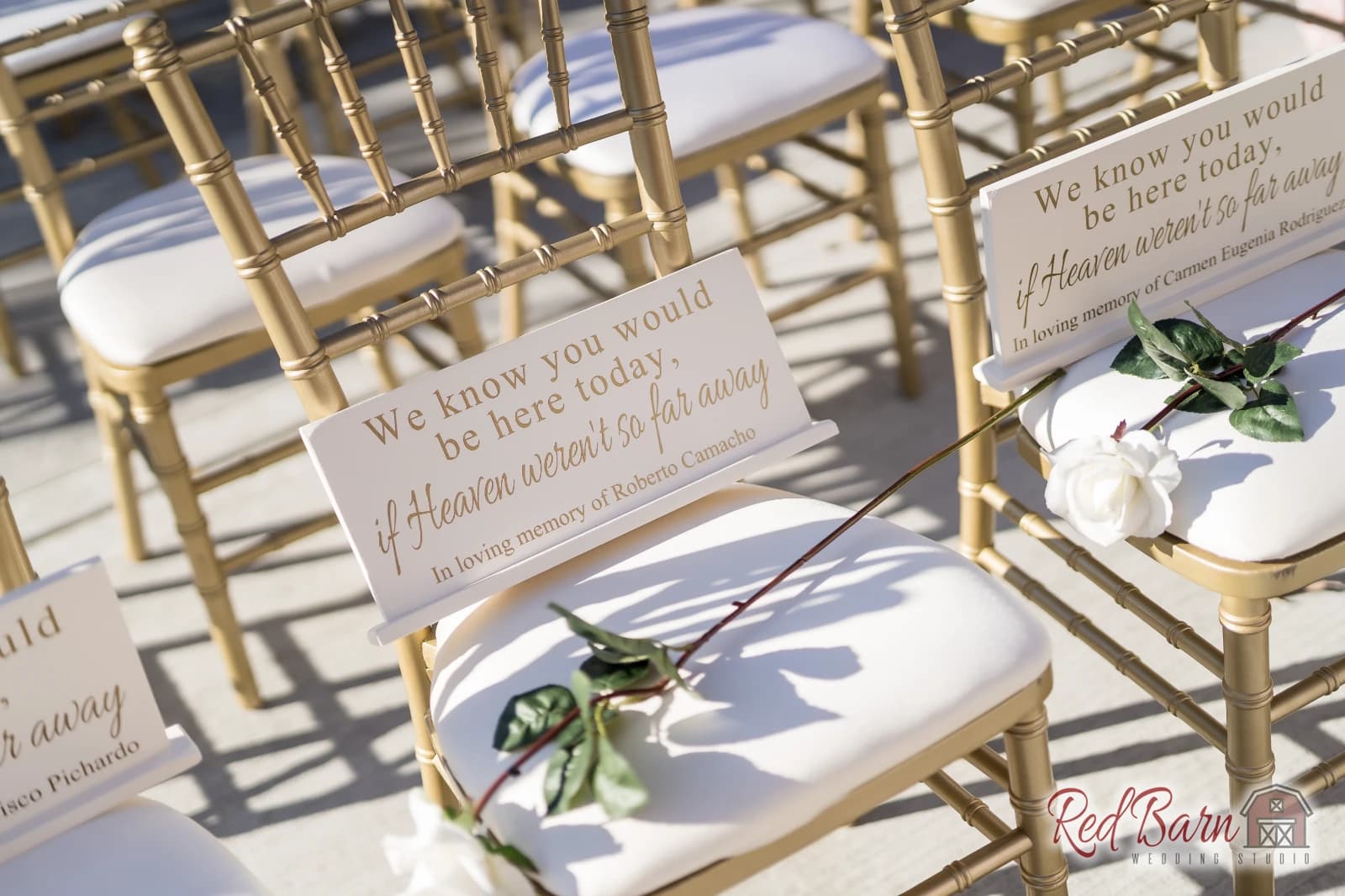 Michelle and David - Rancho Camino Real, Huntley IL — photo 45