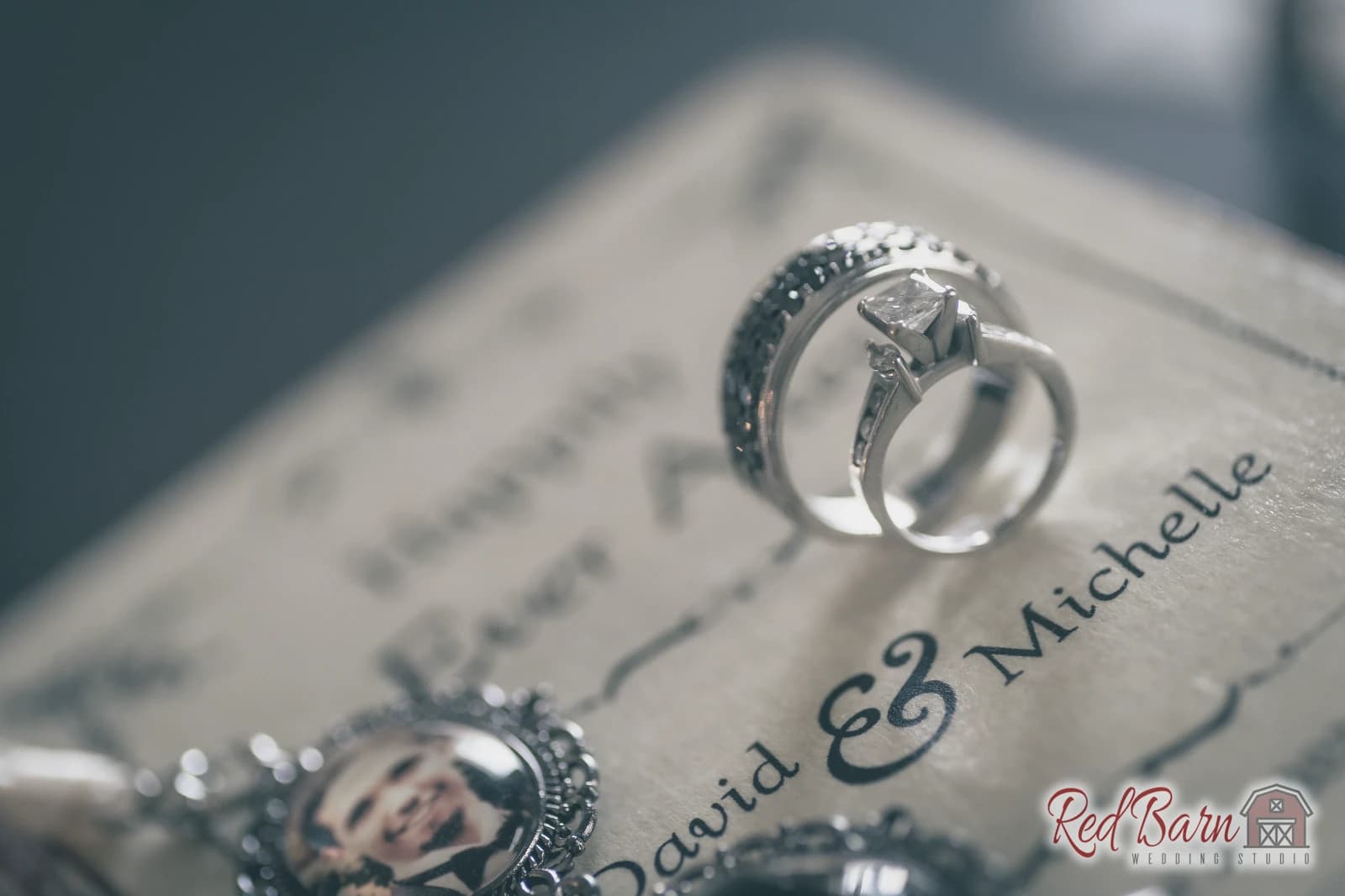Michelle and David - Rancho Camino Real, Huntley IL — photo 8