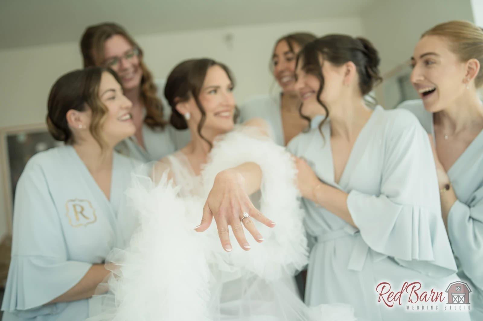 Anastasia and Thomas - The Oak Brook Manor, Oak Brook IL — photo 14