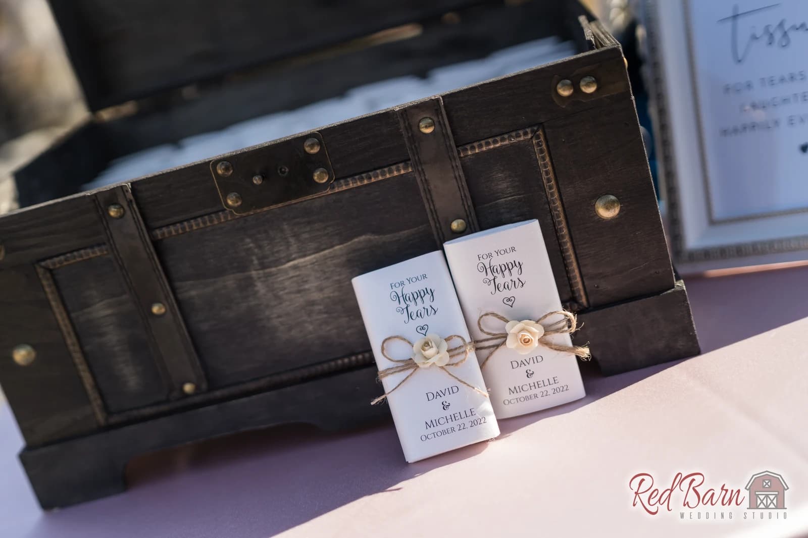 Michelle and David - Rancho Camino Real, Huntley IL — photo 48