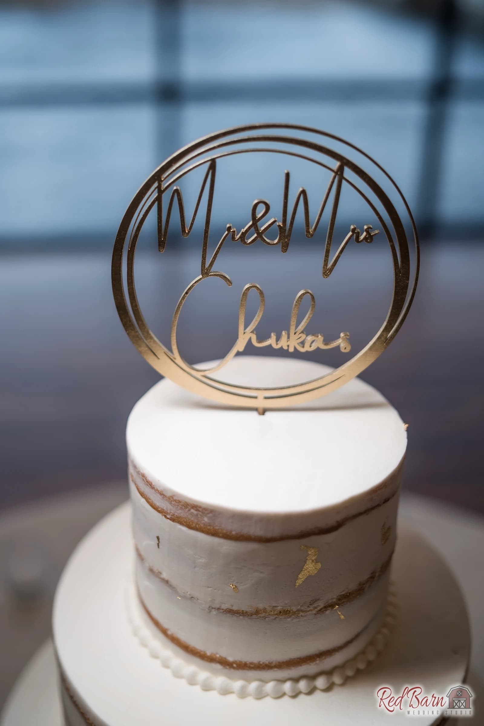 Denise and CJ - Riverside Receptions and Conference Center, Geneva IL — photo 94