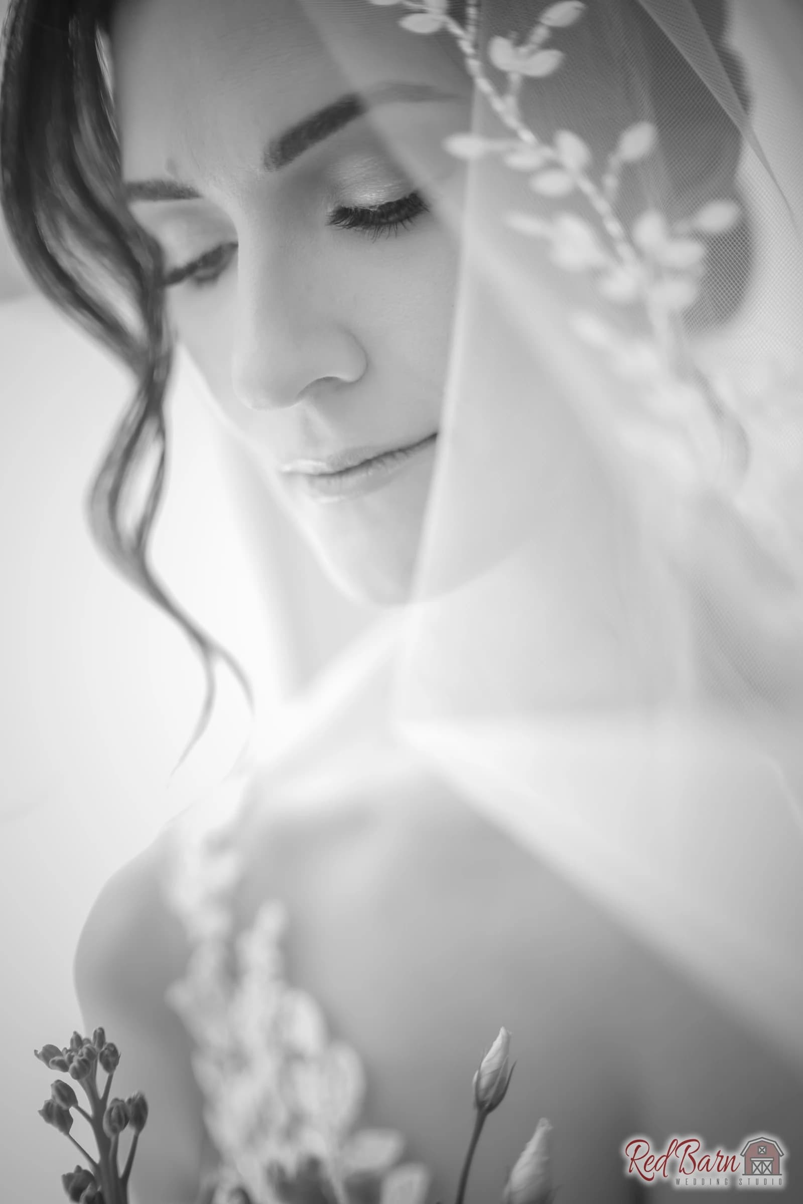 Anastasia and Thomas - The Oak Brook Manor, Oak Brook IL — photo 39