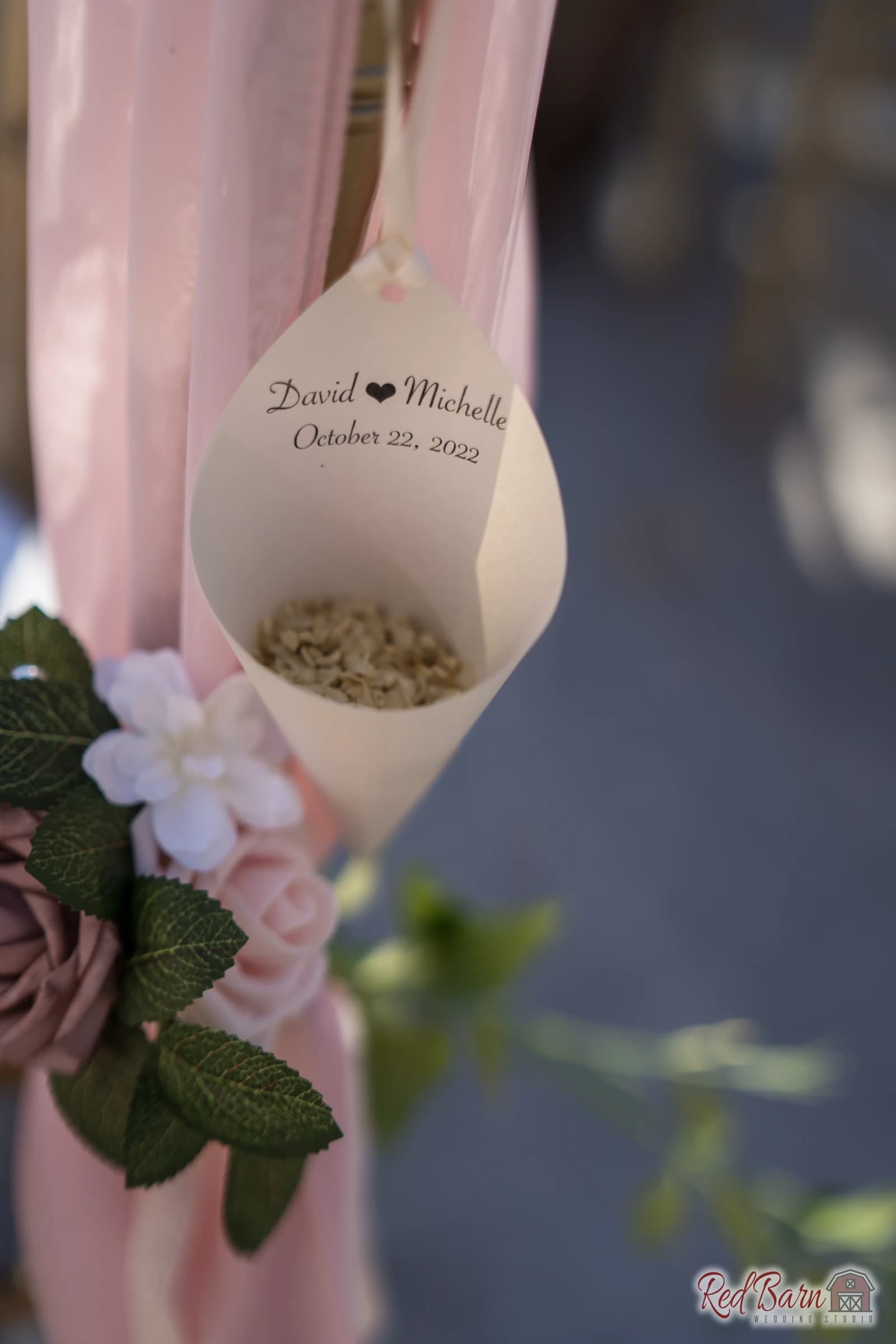 Michelle and David - Rancho Camino Real, Huntley IL — photo 47