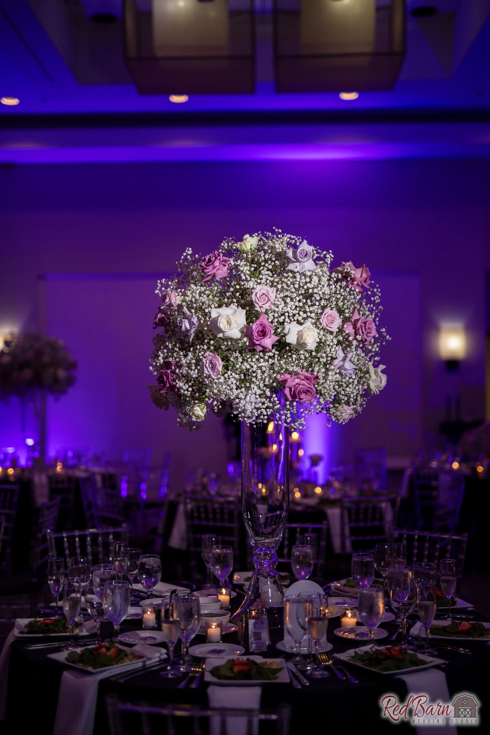 Nicole and Ari - Deerfield Hyatt Regency, Deerfield IL — photo 8