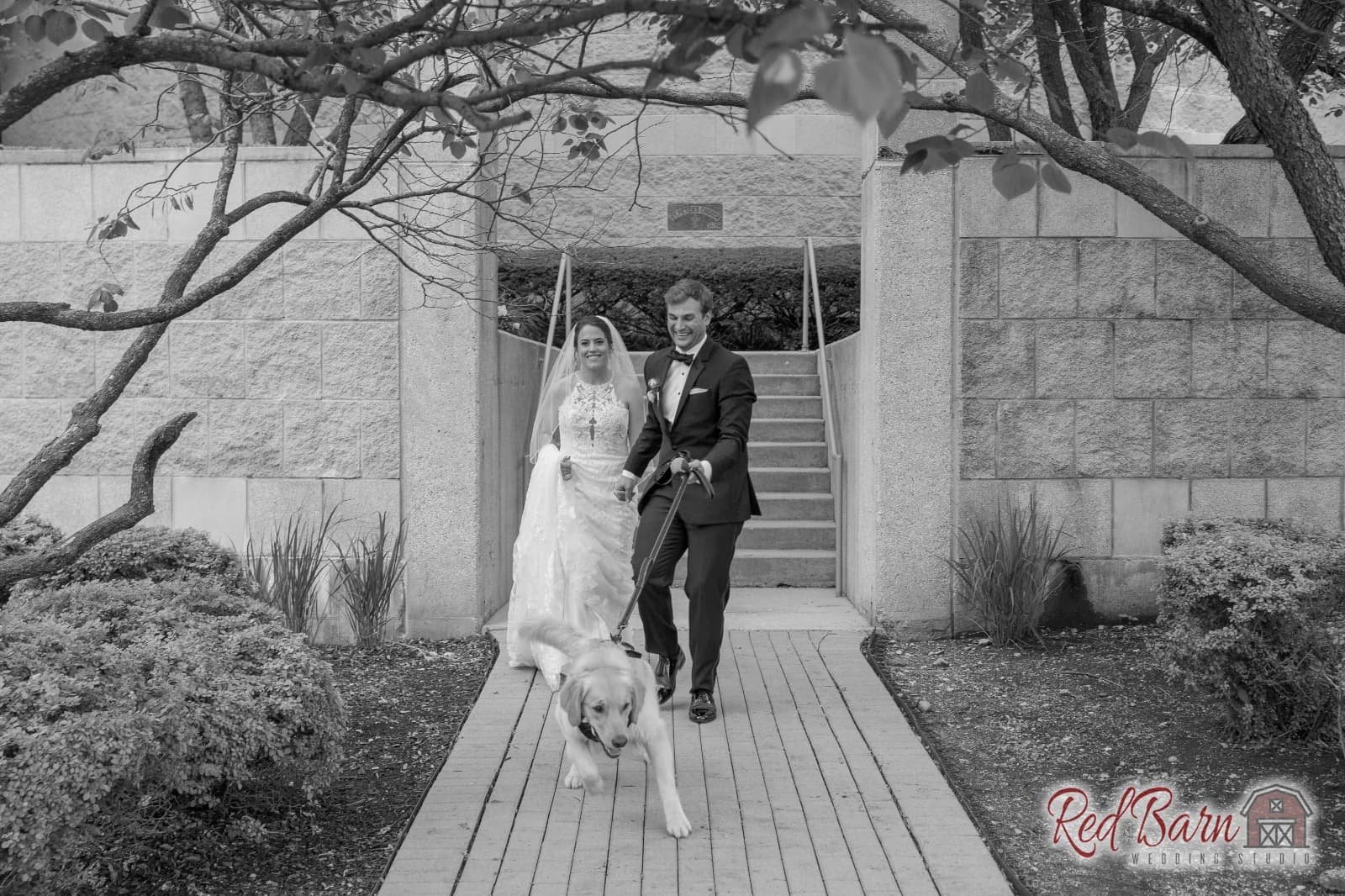 Kelsey and Andrew - Riverside Receptions and Conference Center, Geneva IL — photo 59