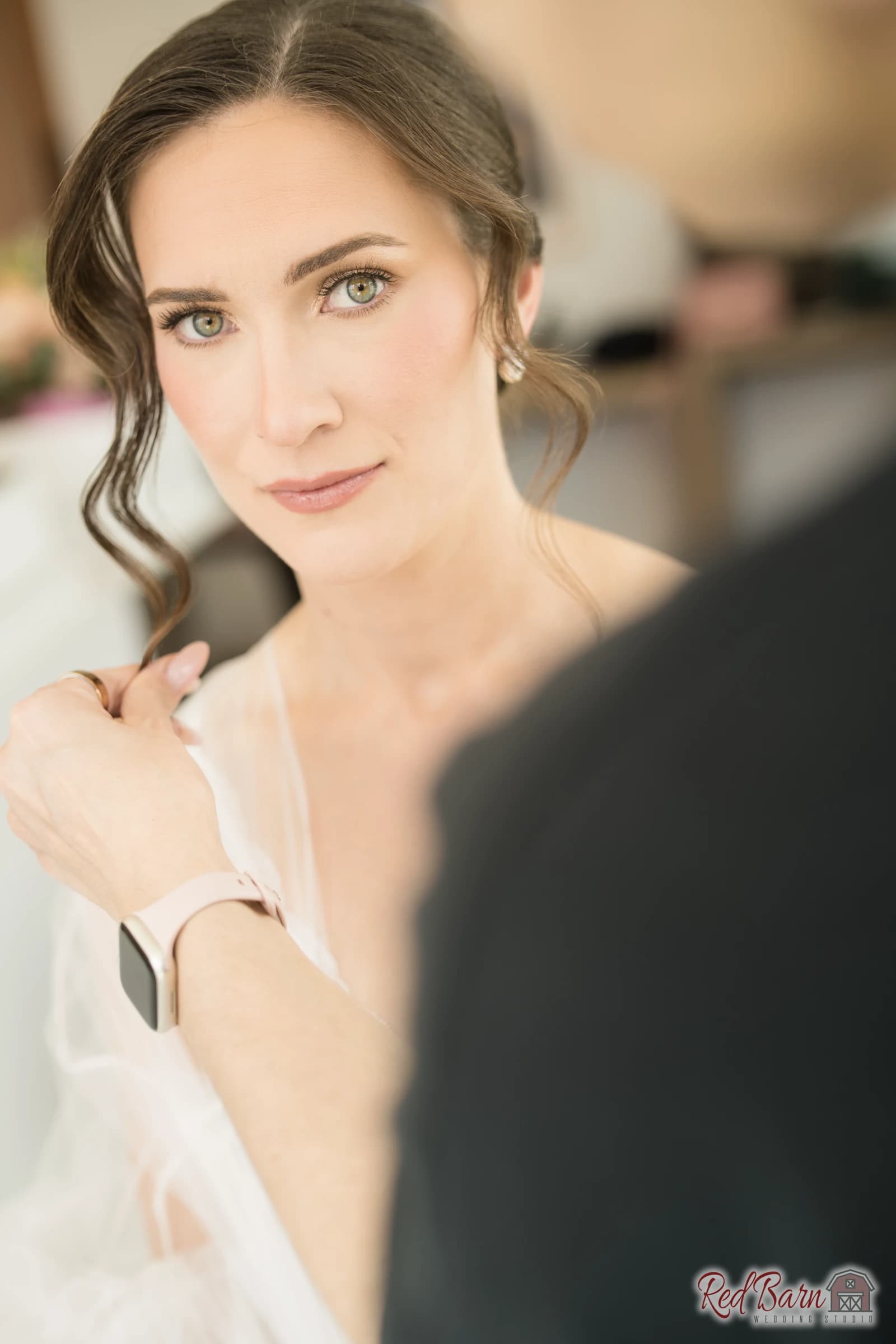 Anastasia and Thomas - The Oak Brook Manor, Oak Brook IL — photo 26