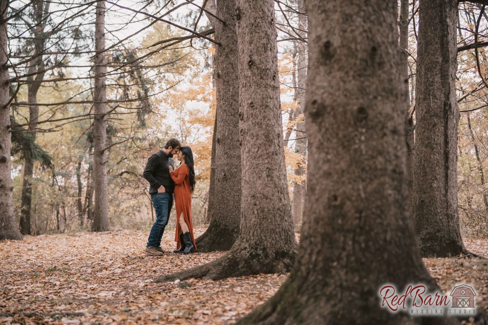 Stephanie and Christopher - Volkening Heritage Farm, Schaumburg IL — photo 2