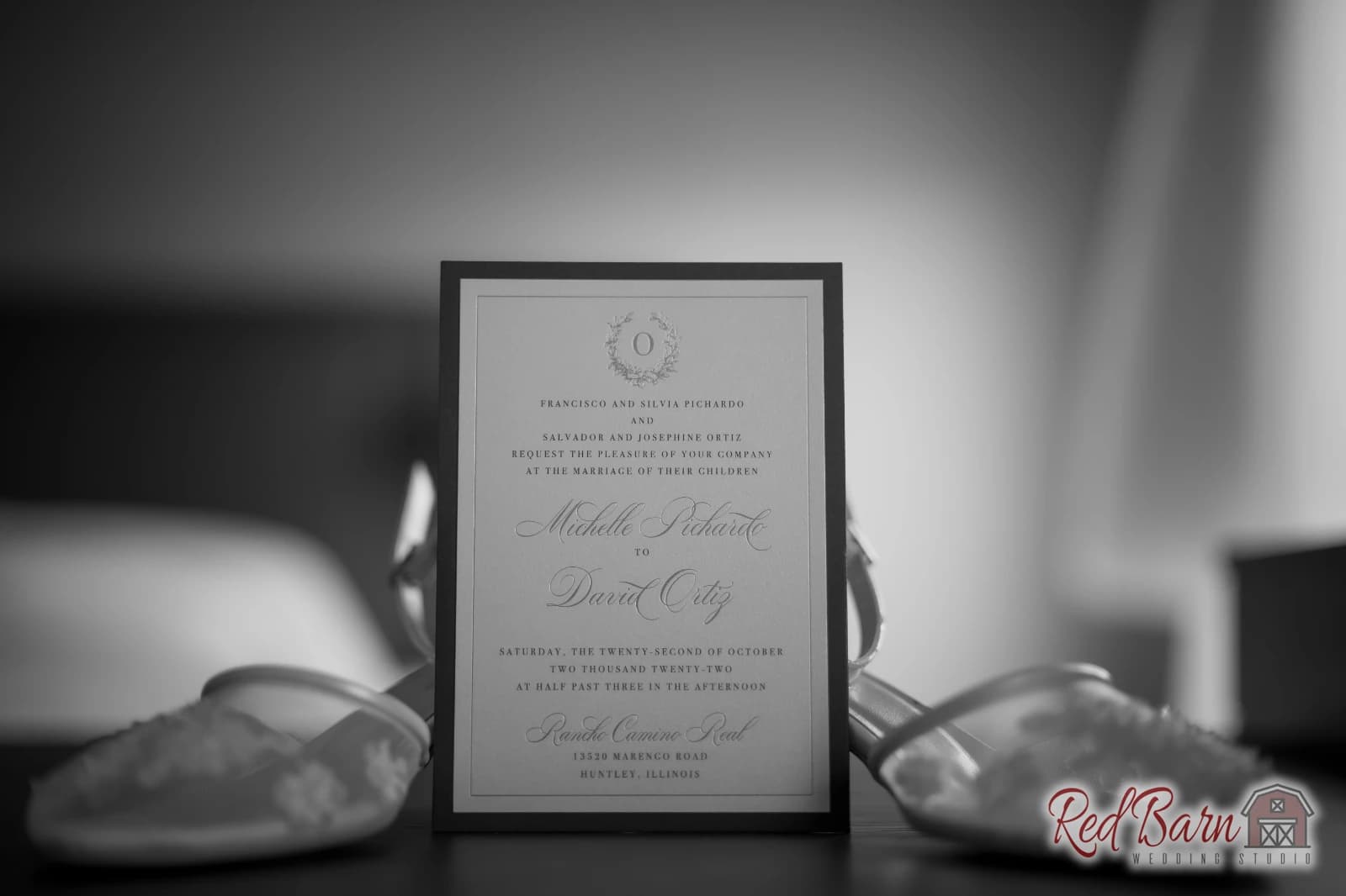 Michelle and David - Rancho Camino Real, Huntley IL — photo 6