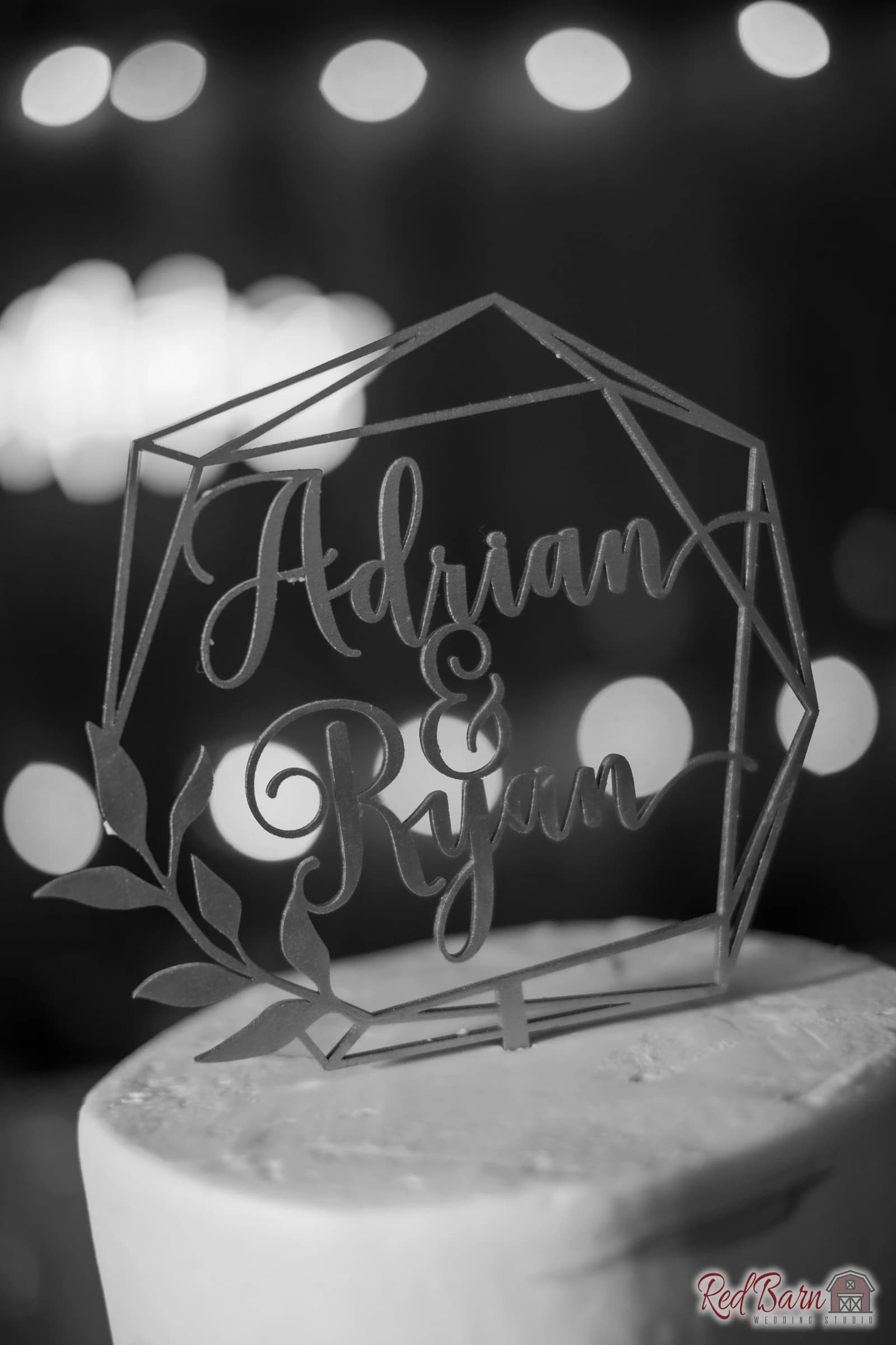 Adrian and Ryan - Hoosier Grove Barn, Streamwood IL — photo 64