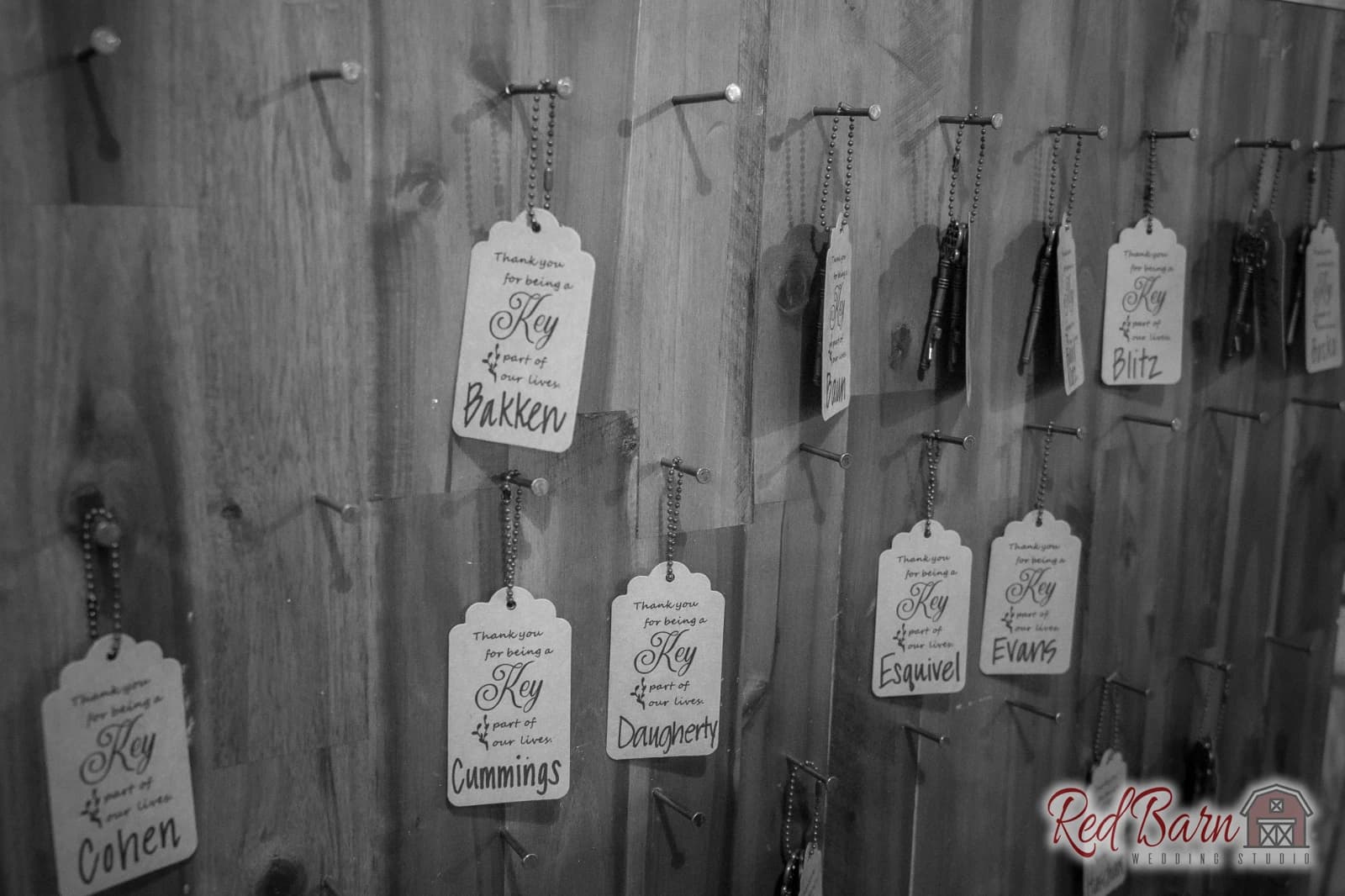 Heather and Brandon - Whispering Woods, Harvard IL — photo 48
