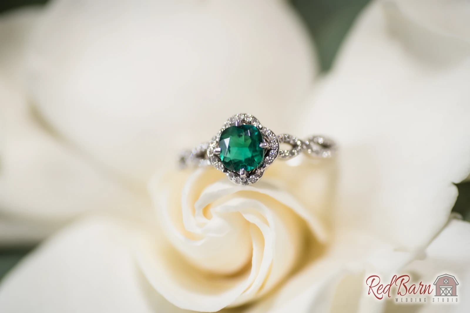 Ashley and Justin at Eaglewood Resort & Spa - Itasca, IL