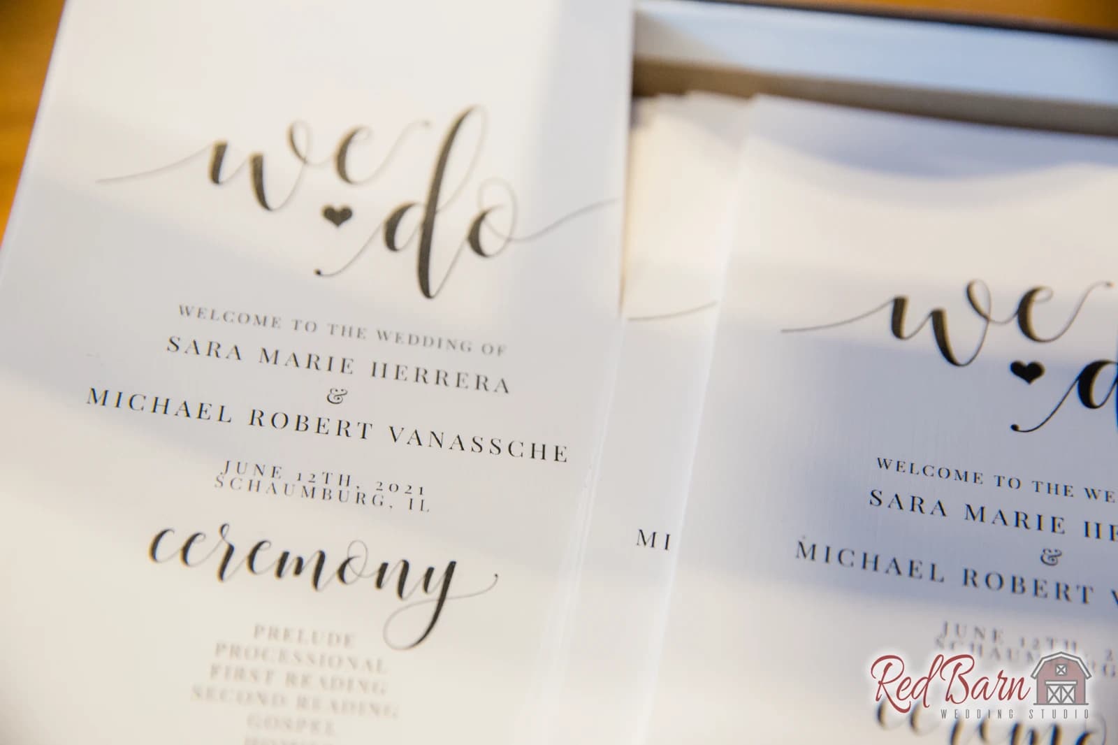 Sara and Michael - Eaglewood Resort, Itasca — photo 47