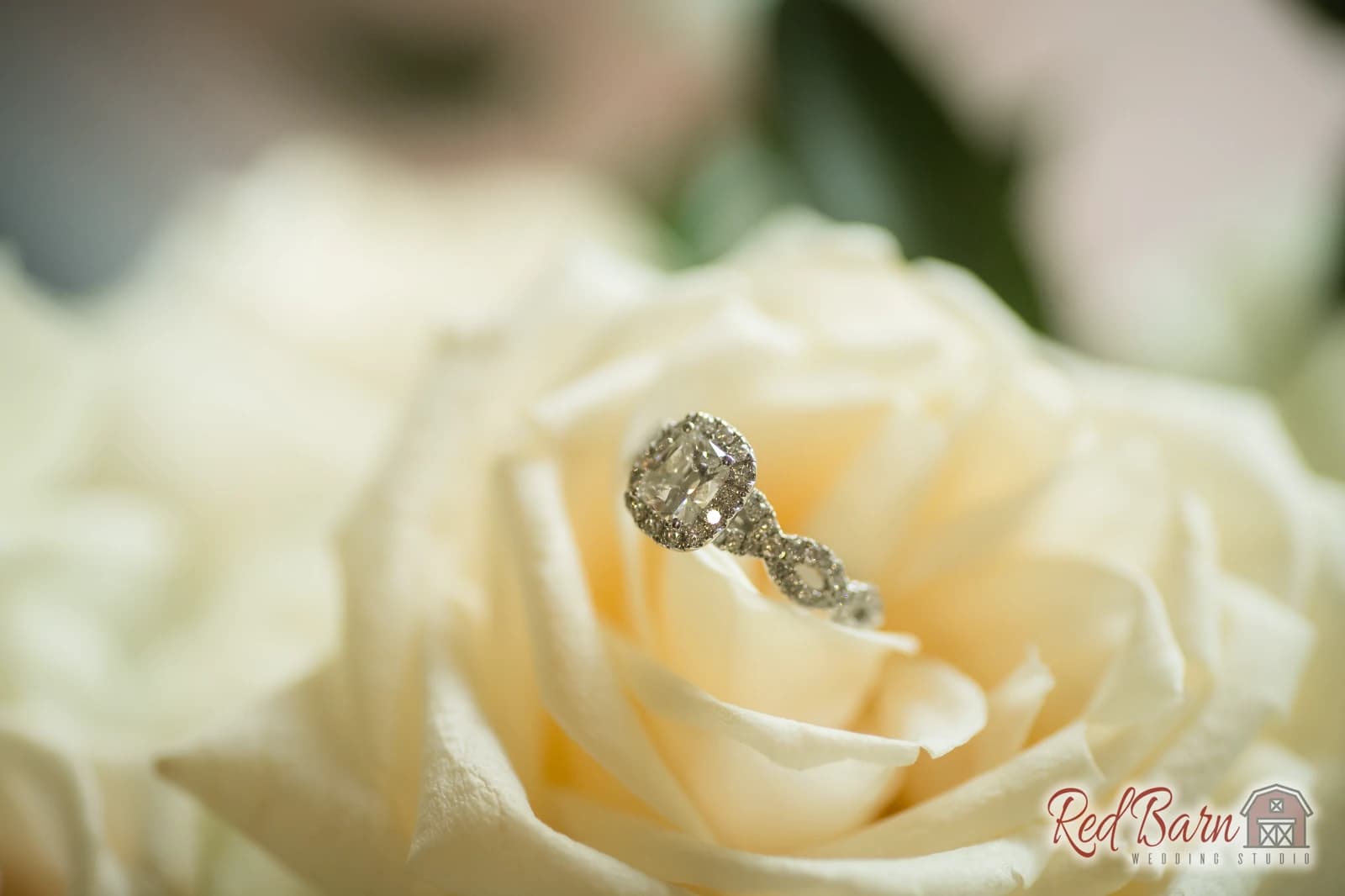 Juliana and Josh - Lake Lawn Resort, Delavan, WI — photo 1