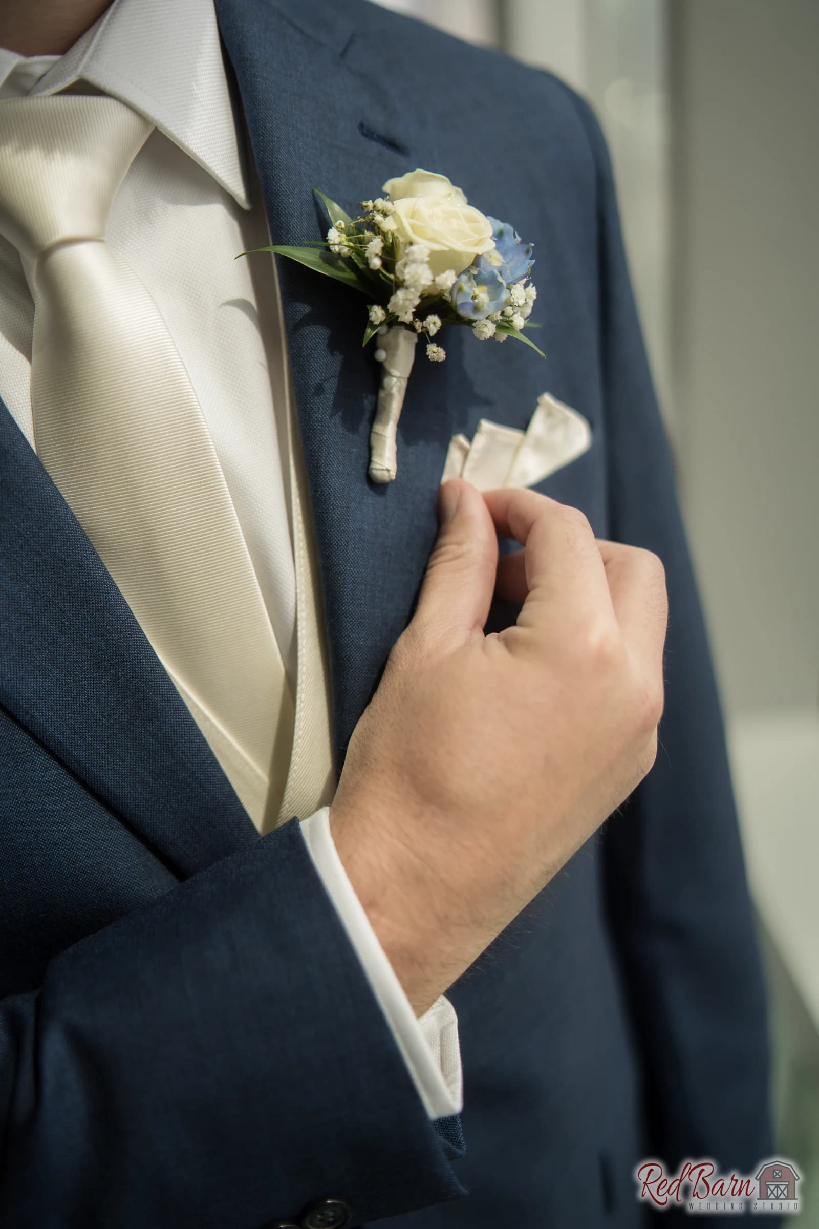 Anastasia and Thomas - The Oak Brook Manor, Oak Brook IL — photo 4