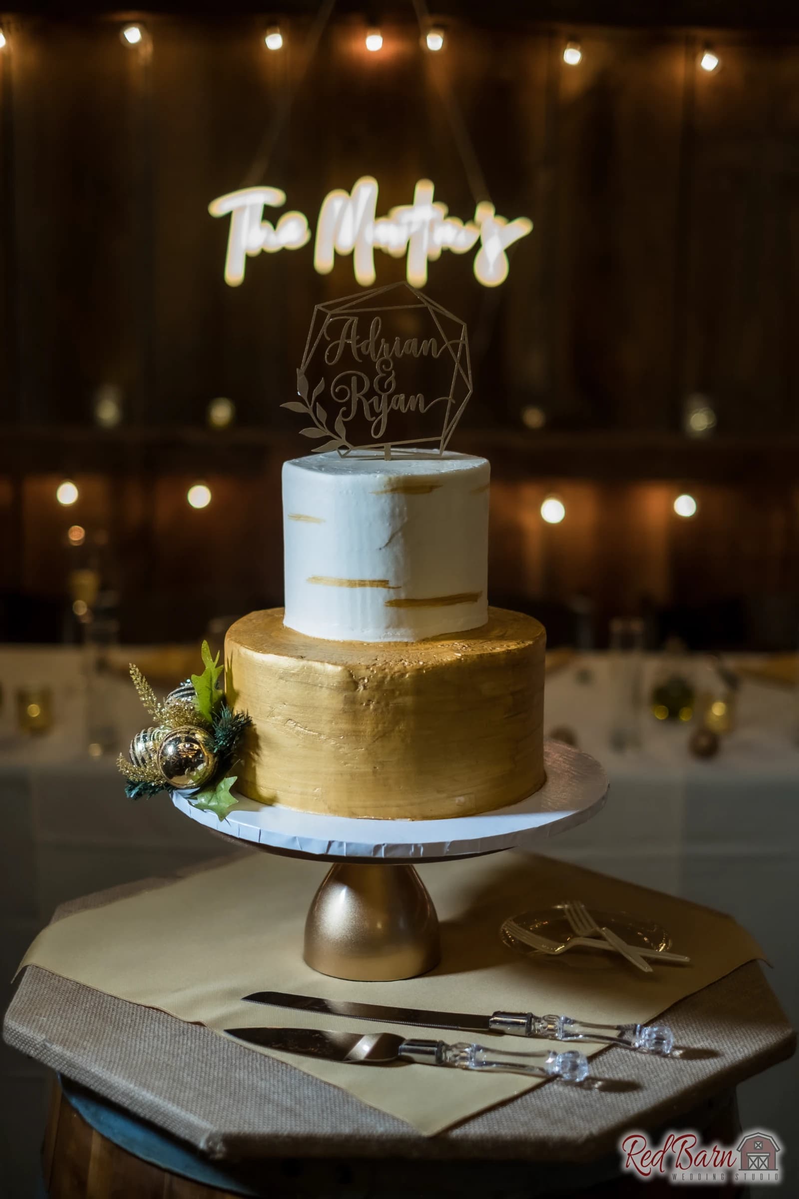 Adrian and Ryan - Hoosier Grove Barn, Streamwood IL — photo 68