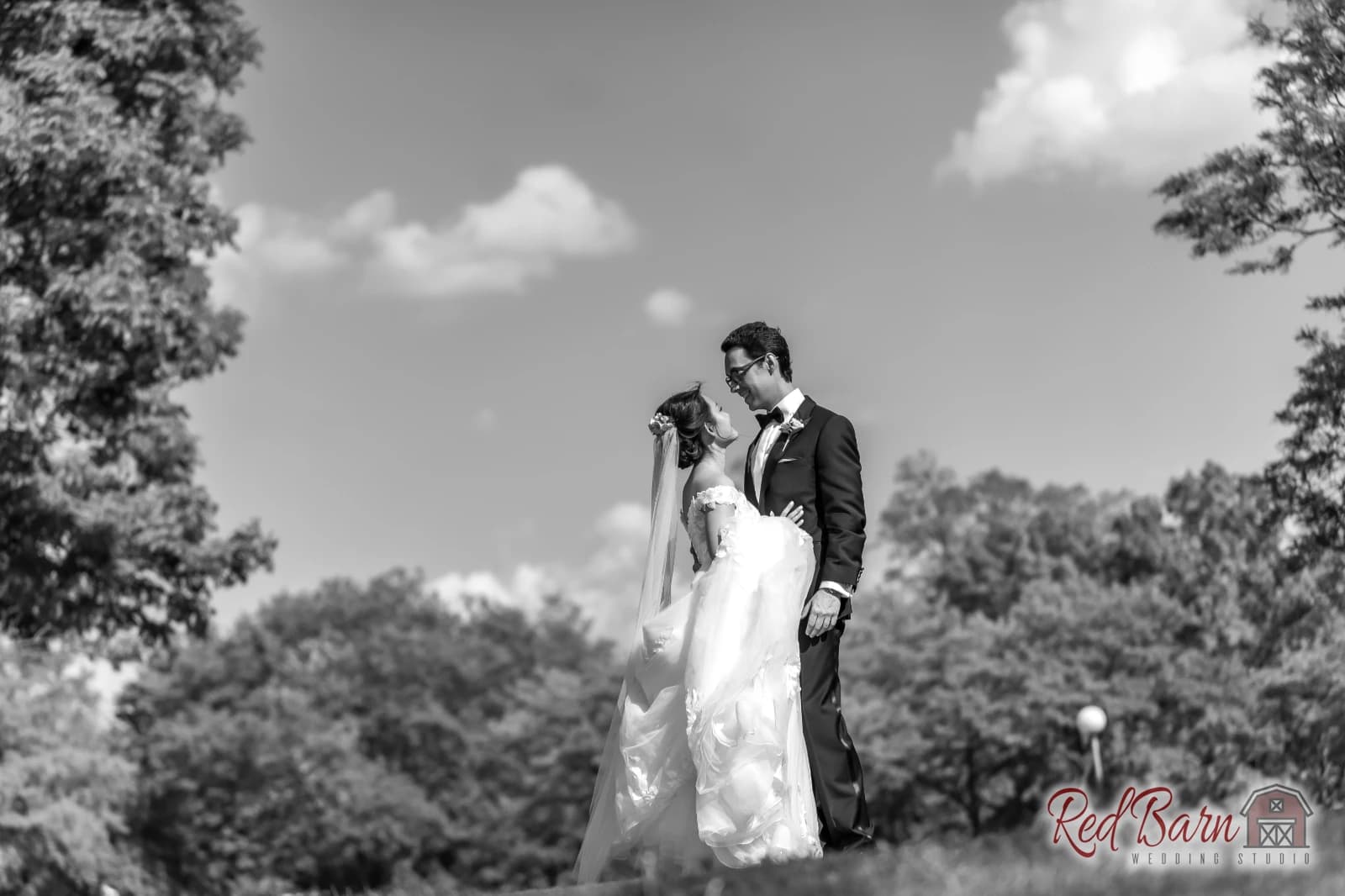 Annie and Harrison - Kemper Lakes Golf Club, Kildeer IL — photo 40