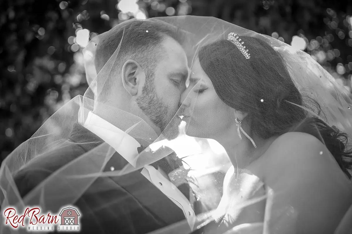 Chicago Wedding Photographer - Venue:  The Haight