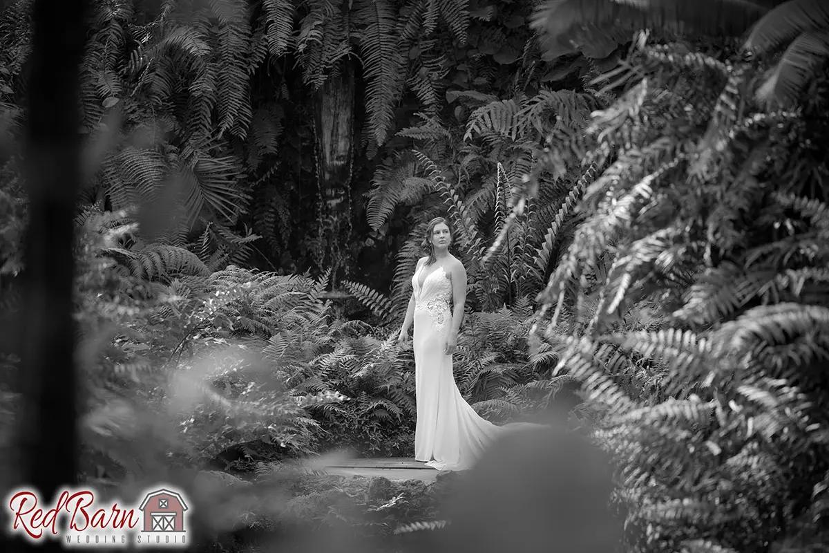 Red Barn Wedding Photography