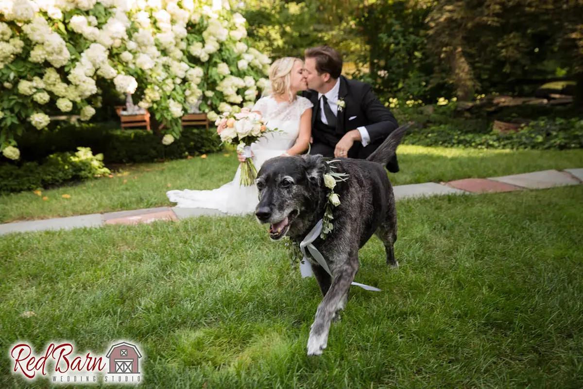 Red Barn Wedding Photography