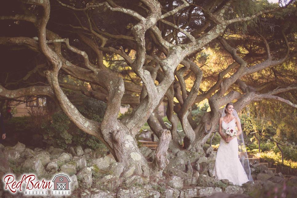 Red Barn Wedding Photography