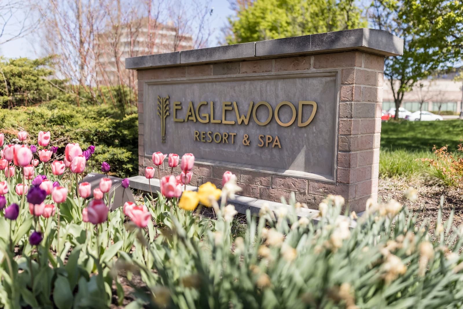 Eaglewood Resort & Spa - Itasca, IL — Chicago Wedding Photography Venue